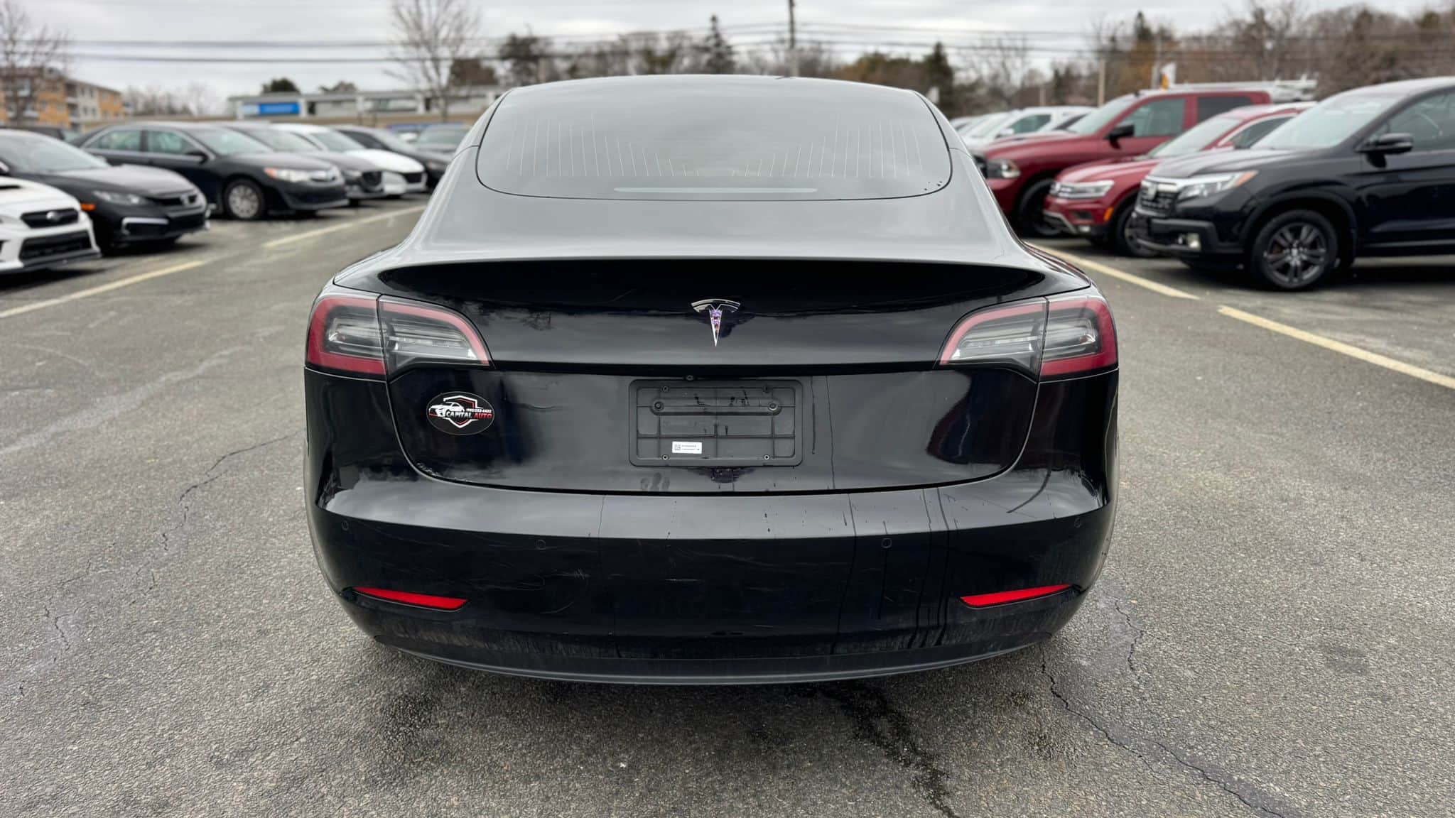 2019 Tesla 3 STD Range Plus RWD thumbnail 6