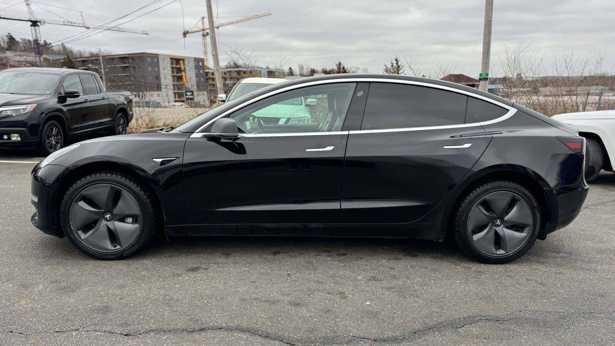 2019 Tesla 3 STD Range Plus RWD thumbnail 8