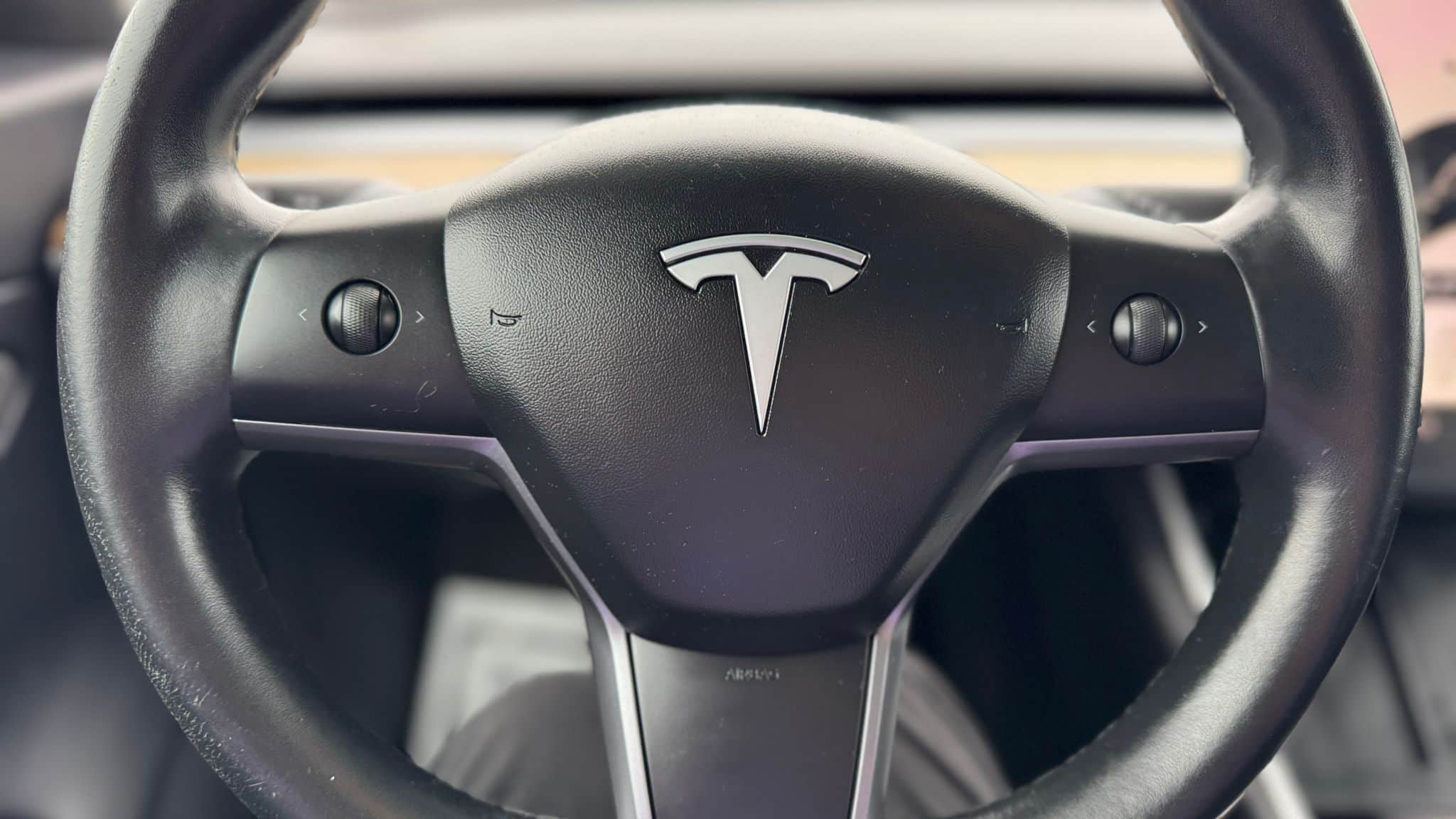 2019 Tesla 3 STD Range Plus RWD thumbnail 15